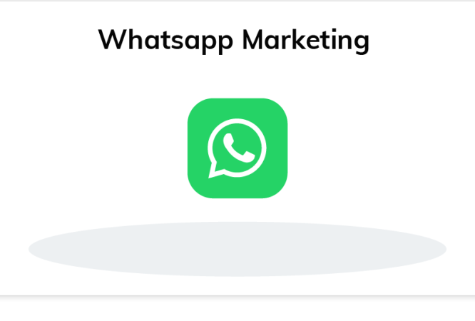 Whatsapp Marketing