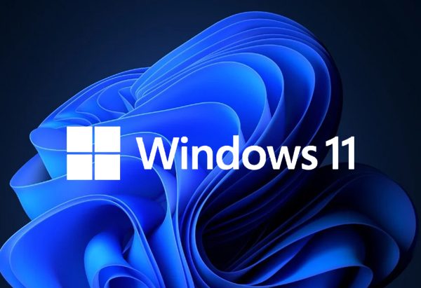 Microsoft Windows 11 Professional Product Key
